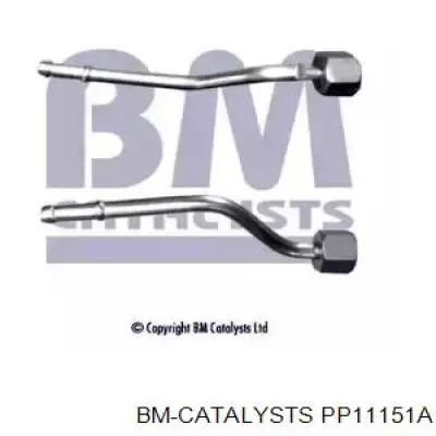 PP11151A BM Catalysts