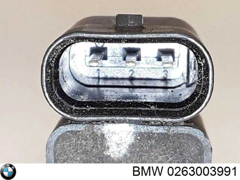 0263003991 BMW 