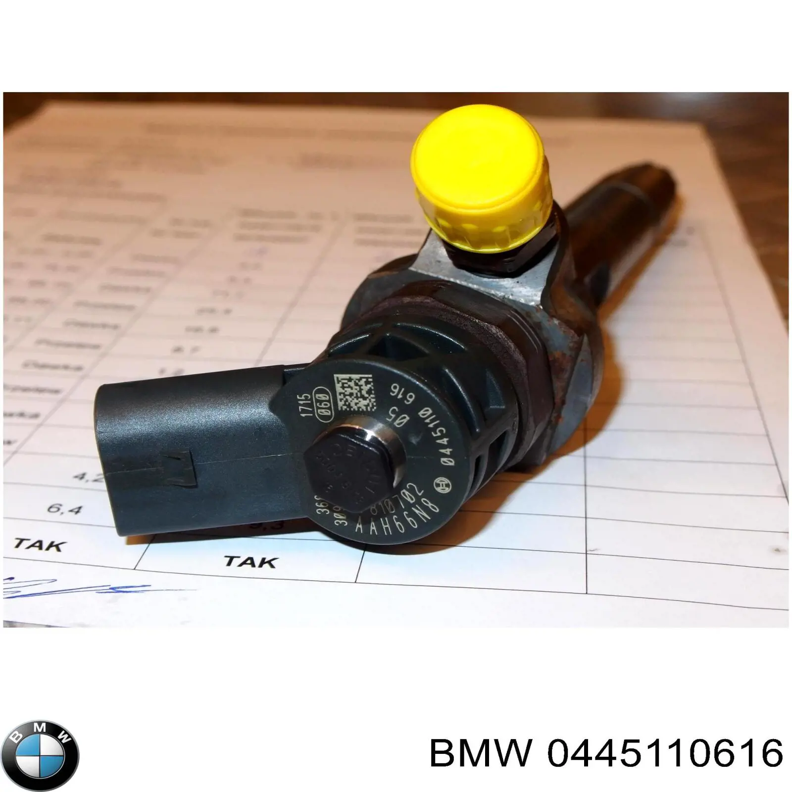 Inyectores BMW X3 F25