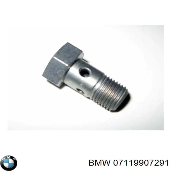 Comprar 07119907291 BMW Tornillo