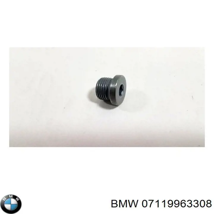 Junta del tapón del cárter de aceite 07119963308 BMW