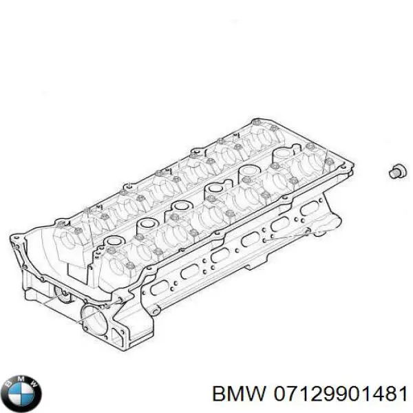 7129901481 BMW