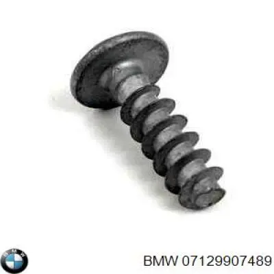 7129907489 BMW