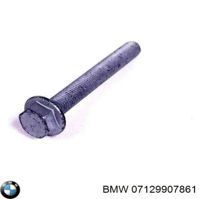 Perno de fijación del brazo inferior delantero BMW 07129907861 precio, desde 7,17 EUR