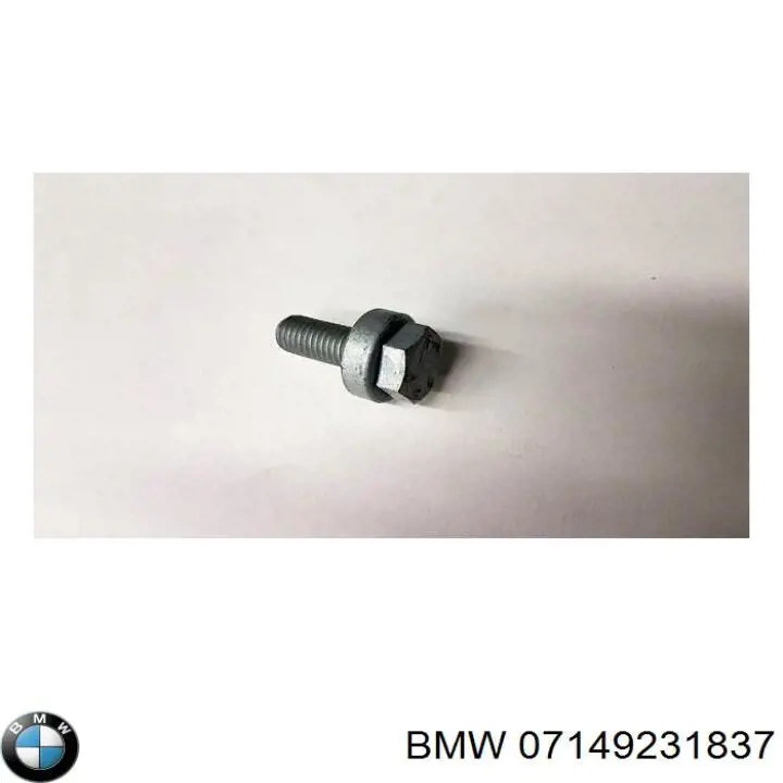 Perno de fijación del brazo inferior delantero BMW 07149231837 precio, desde 7,17 EUR