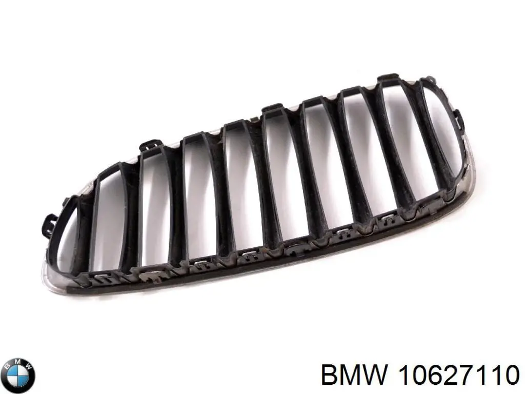 10627110 BMW Calandra