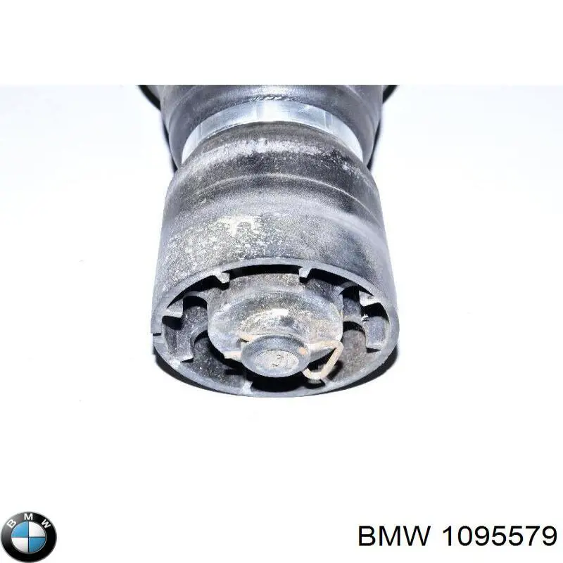 1095579 BMW muelle neumático, suspensión, eje trasero