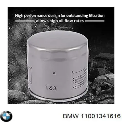 11001341616 BMW filtro de aceite