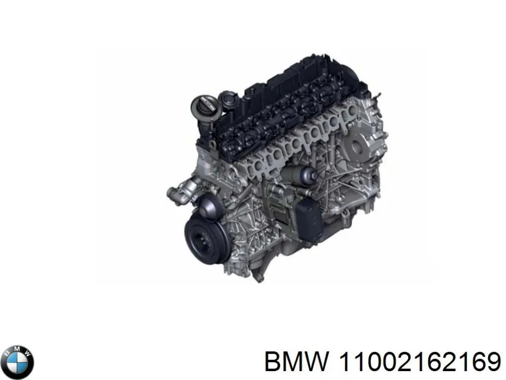 11002162169 BMW motor completo