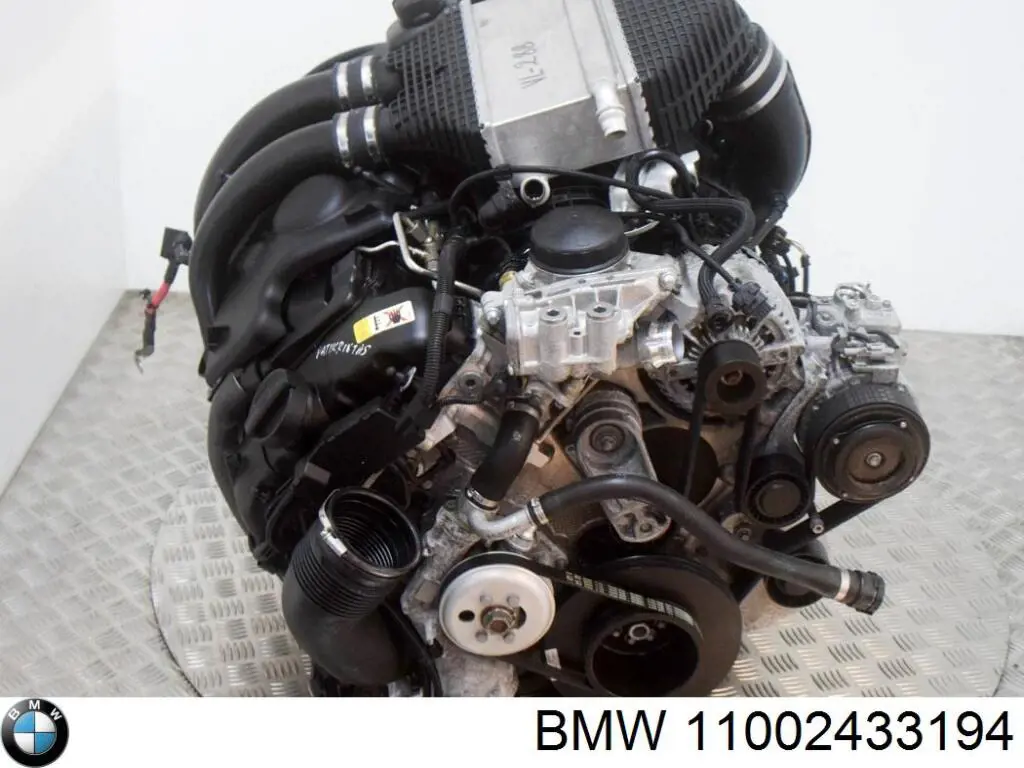 11002433194 BMW motor completo