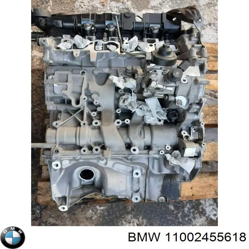 11002473148 BMW motor completo