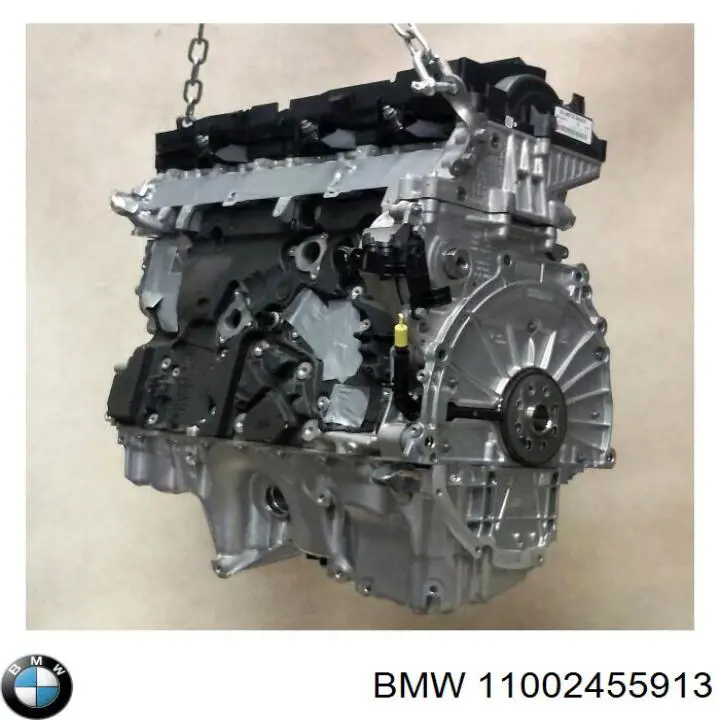 11002473236 BMW motor completo