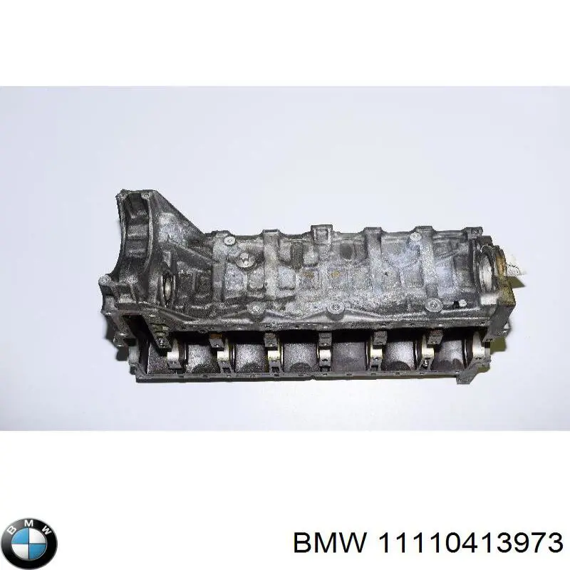 11110413973 BMW bloque motor