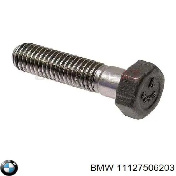 Comprar 11127506203 BMW Pasador de bisagra de puerta