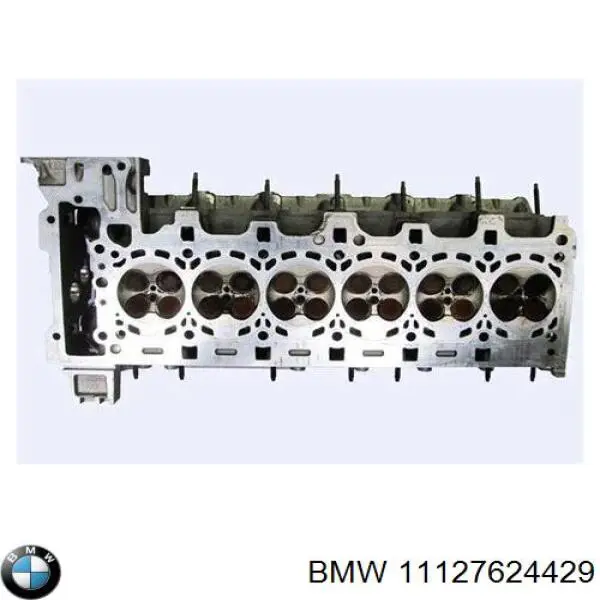 11127624429 BMW culata