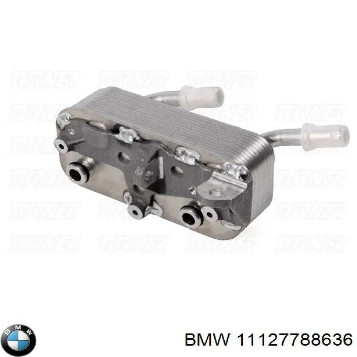 Junta de culata 11127788636 BMW