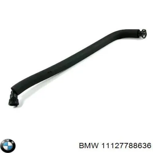 11127788636 BMW Empaquetadura de culata