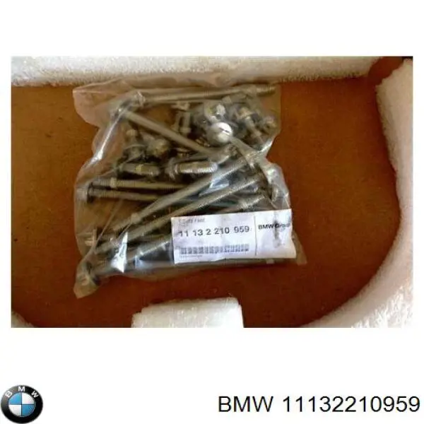11132210959 BMW tornnillo, cárter del motor