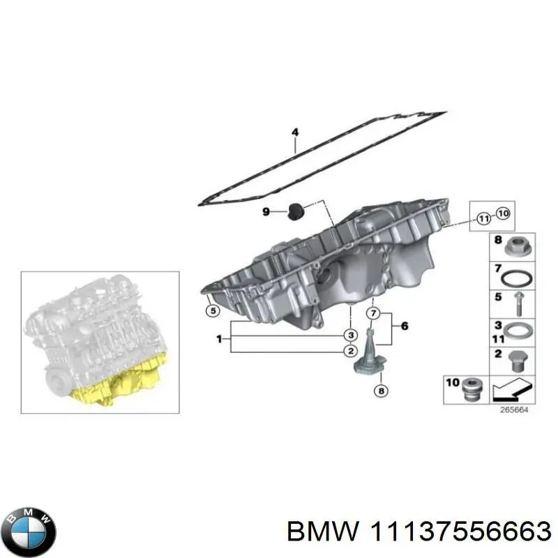 11137556663 BMW cárter de aceite