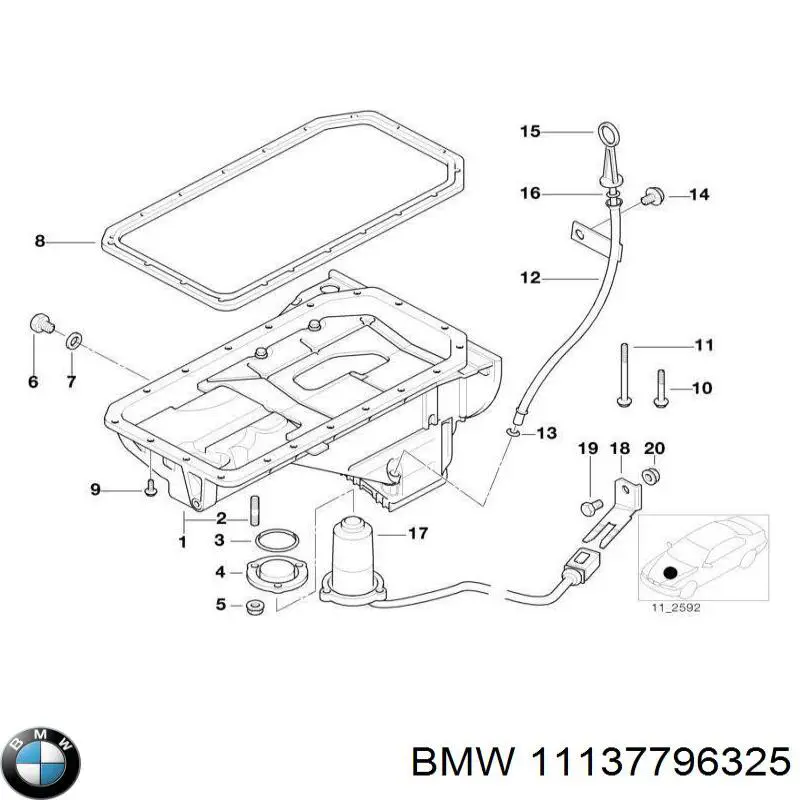 11137796325 BMW cárter de aceite