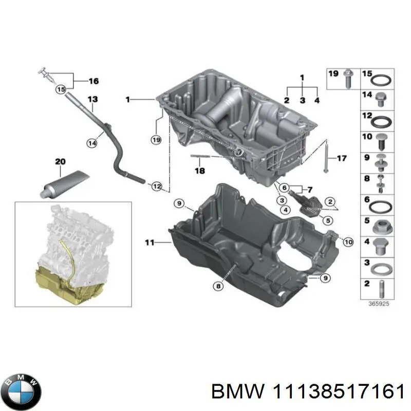11138517161 BMW Cárter de aceite del motor