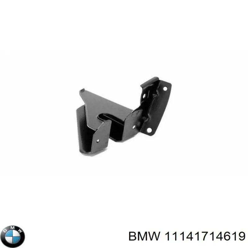 Anillo retén cigüeñal frontal BMW 11141714619