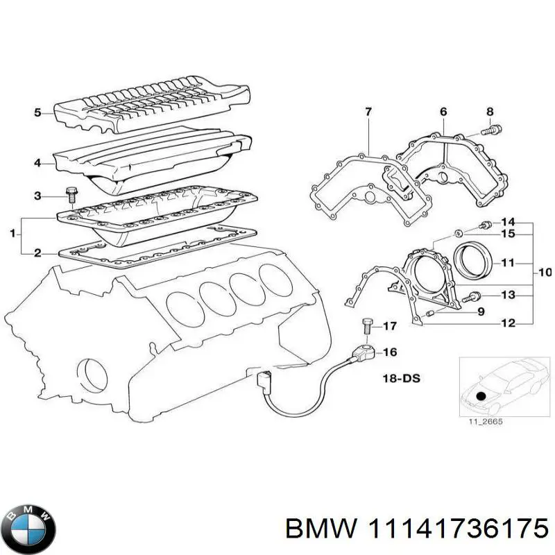 11141736175 BMW