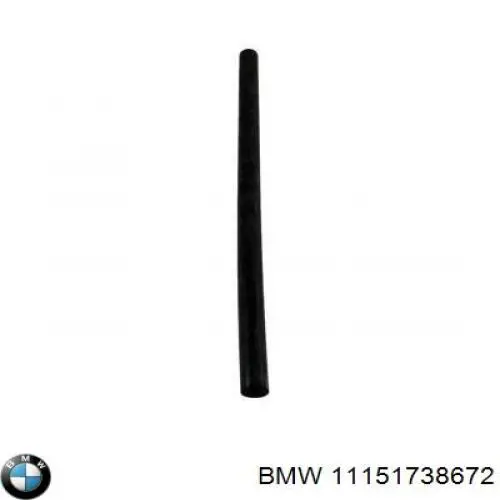 11151738672 BMW tubo de ventilacion del carter (separador de aceite)