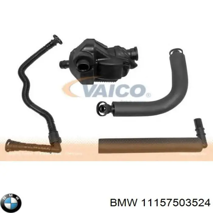 11157503524 BMW tubo de ventilacion del carter (separador de aceite)