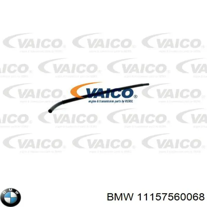 11151438303 BMW