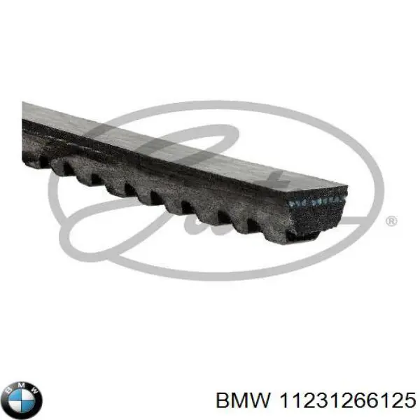 Comprar 11231266125 BMW Correa trapezoidal