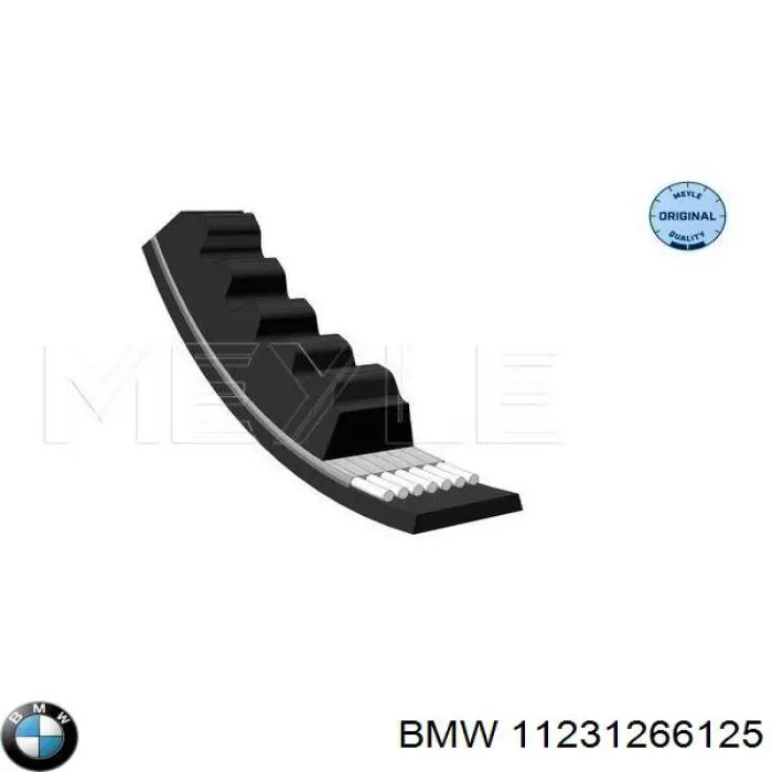 11231266125 BMW Correa poly v