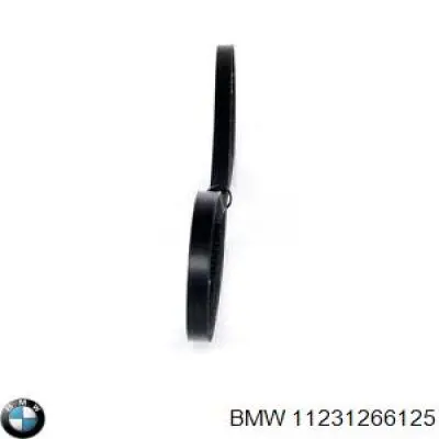 Correa de transmisión trapezoidal BMW 11231266125 precio, desde 5,82 EUR