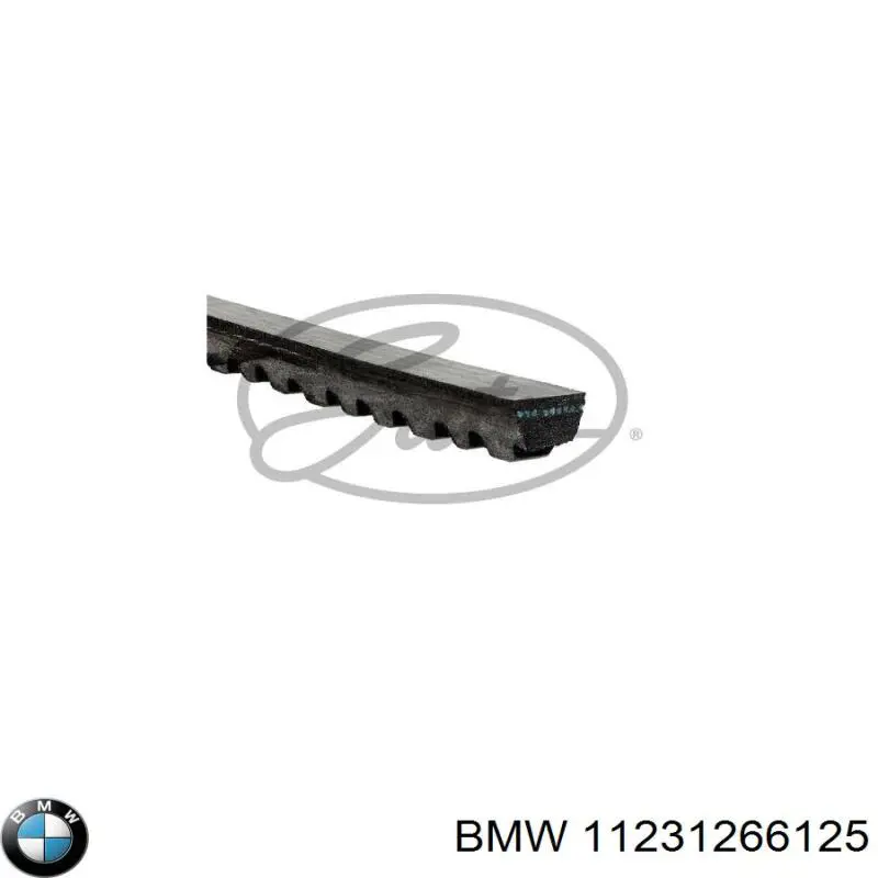 Correa de alternador 11231266125 BMW