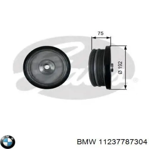 Polea de cigüeñal 11237787304 BMW