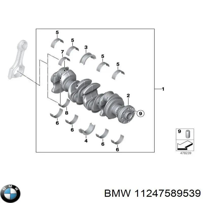 Biela BMW 11247589539 precio, desde 90,02 EUR