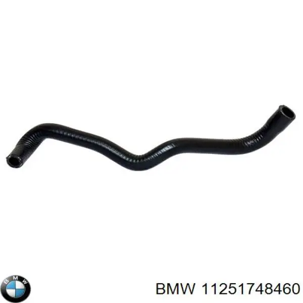 Pistón 11251703456 BMW