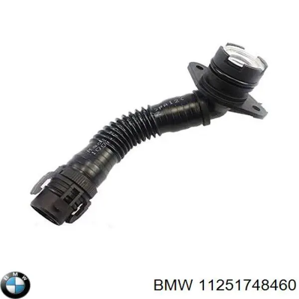 Pistón para cilindro BMW 11251703456 precio, desde 71,15 EUR