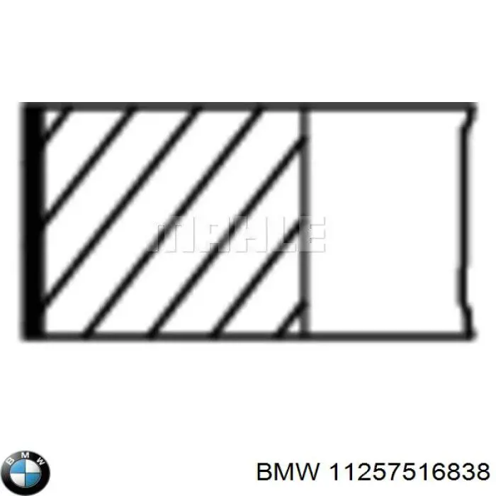 11257516838 BMW aros de pistón para 1 cilindro, std