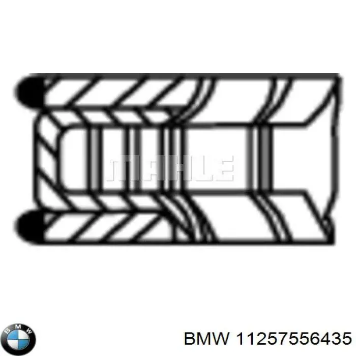 11257556435 BMW aros de pistón para 1 cilindro, std