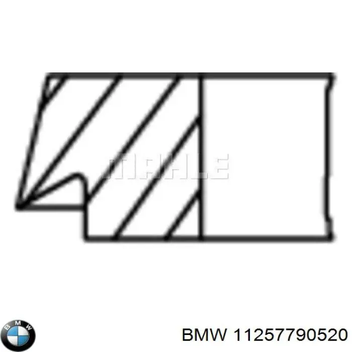 11257790521 BMW aros de pistón para 1 cilindro, std