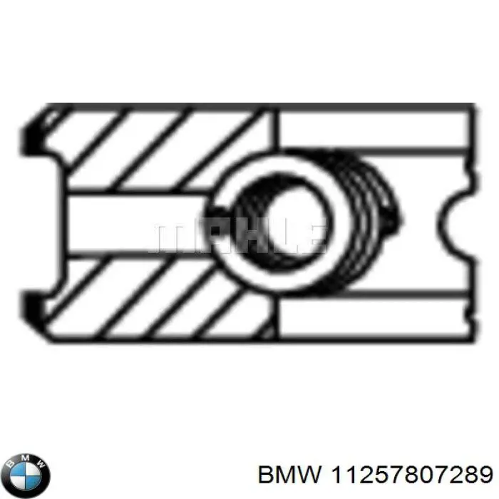 11257807289 BMW aros de pistón para 1 cilindro, std