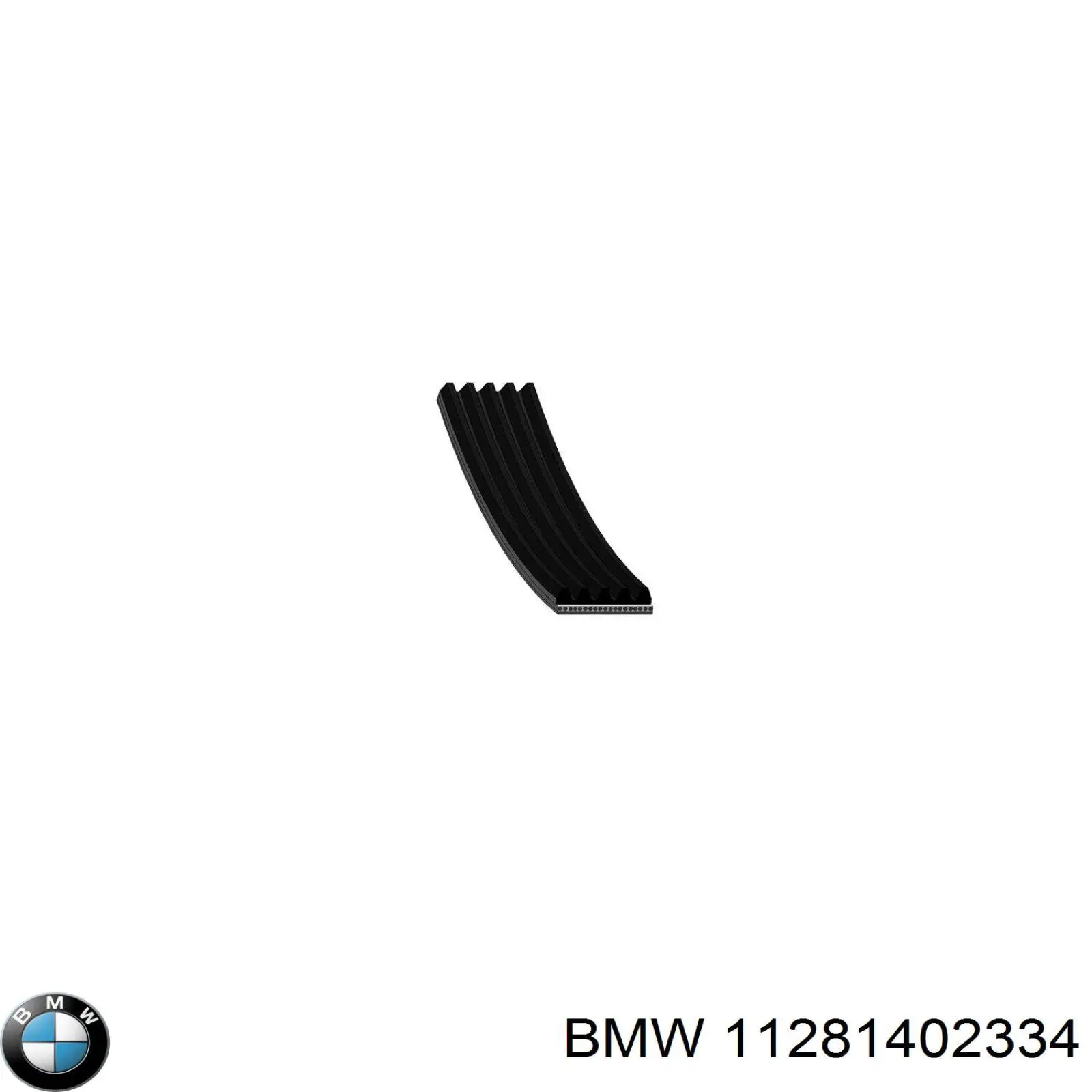 11281402334 BMW correa trapezoidal