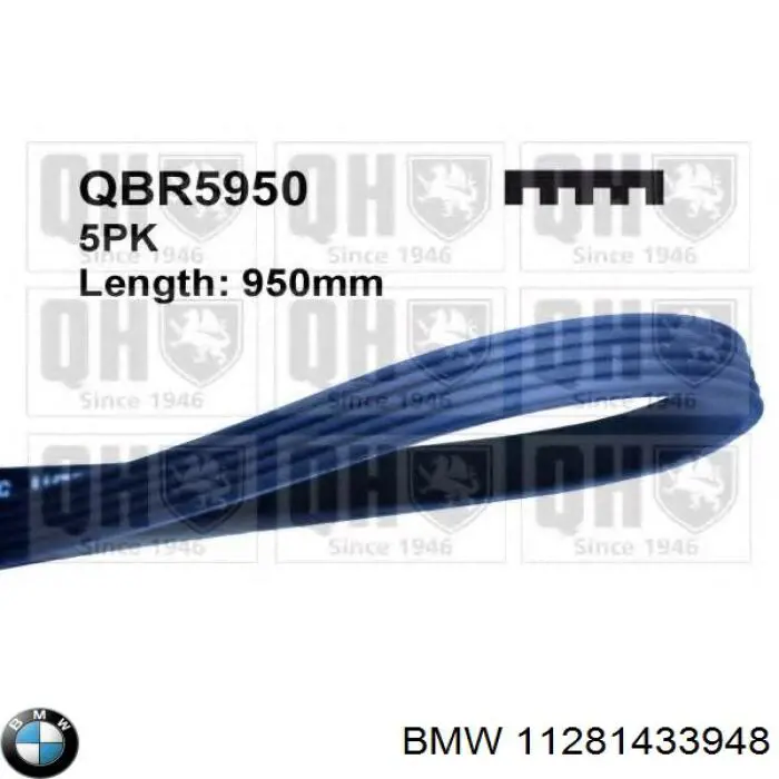 Correa de transmisión trapezoidal BMW 11281433948 precio, desde 12,04 EUR