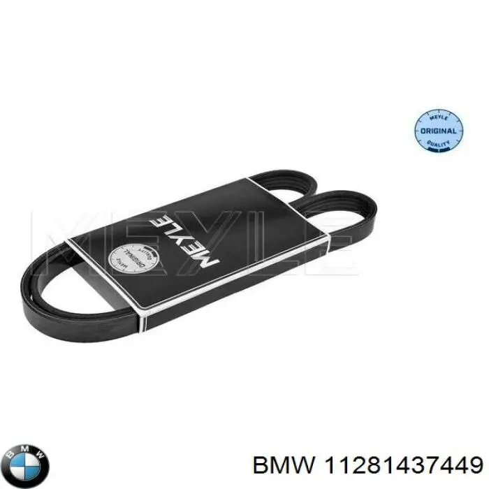 Correa de alternador 11281437449 BMW