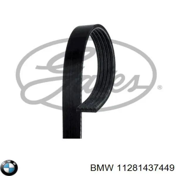 Correa de transmisión trapezoidal BMW 11281437449 precio, desde 10,41 EUR