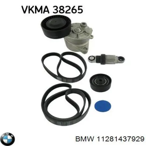 Correa de alternador 11281437929 BMW