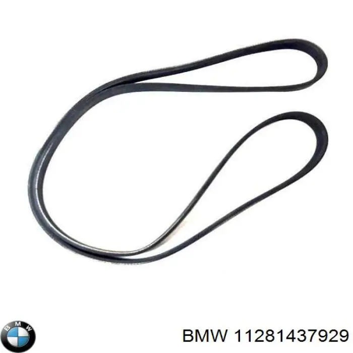 Correa de transmisión trapezoidal BMW 11281437929 precio, desde 13,52 EUR