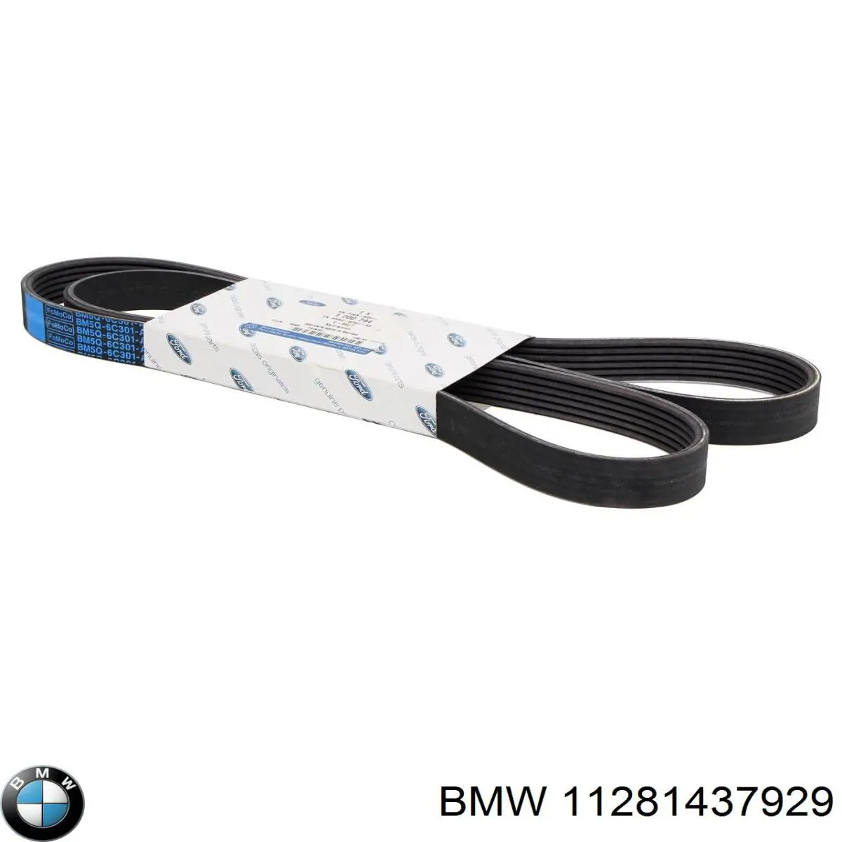 11281437929 BMW Correa poly v