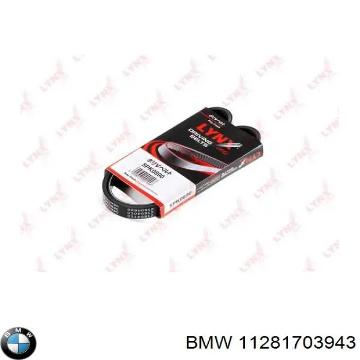 11281703943 BMW Correa poly v